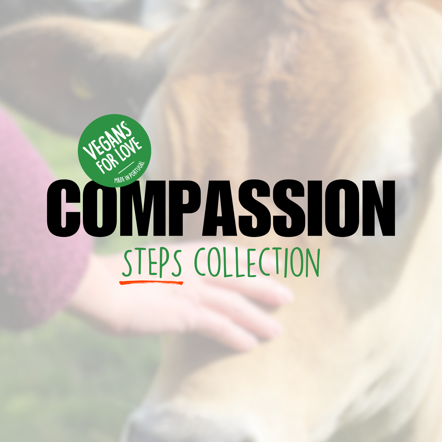 COMPASSION STEPS