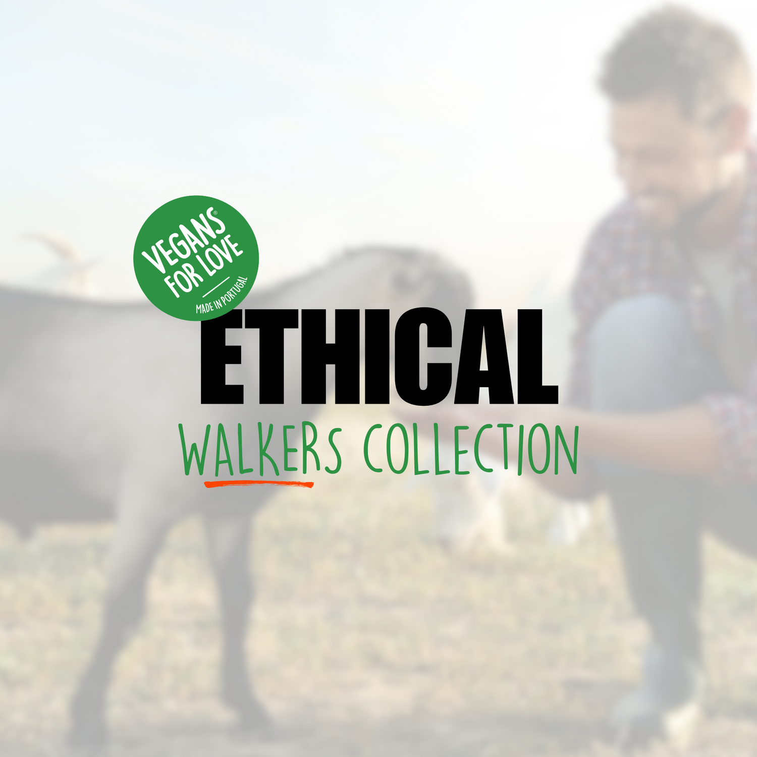 ETHICAL WALKERS